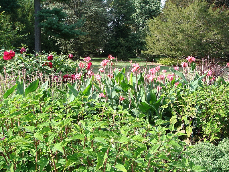 168 Longwood Gardens [2008 August 23].JPG - Longwood Gardens in Pennsylvania